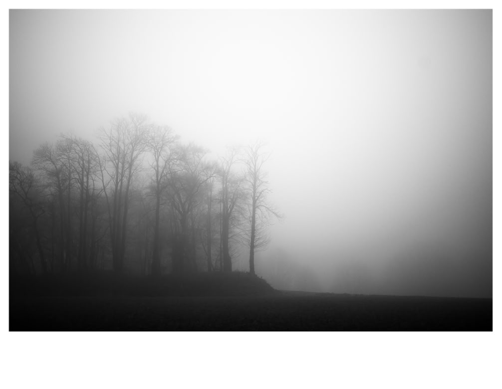 paysage, oretail photography,  olivier retail, noir et blanc, black and white, landscape, monochrom, monochrome, bw, bois, wood, arbre, tree, brouillard, fog