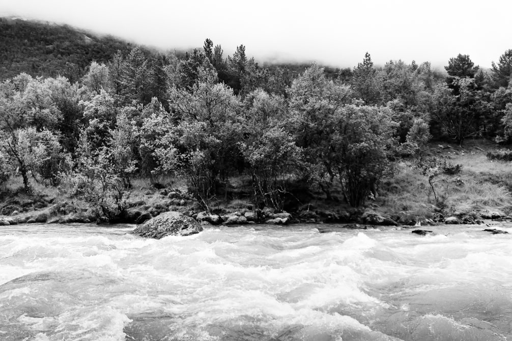 oretail photography, olivier retail, paysage, landscape, noir et blanc, black and white, river, rivière, arbre, tree, norvège, norway
