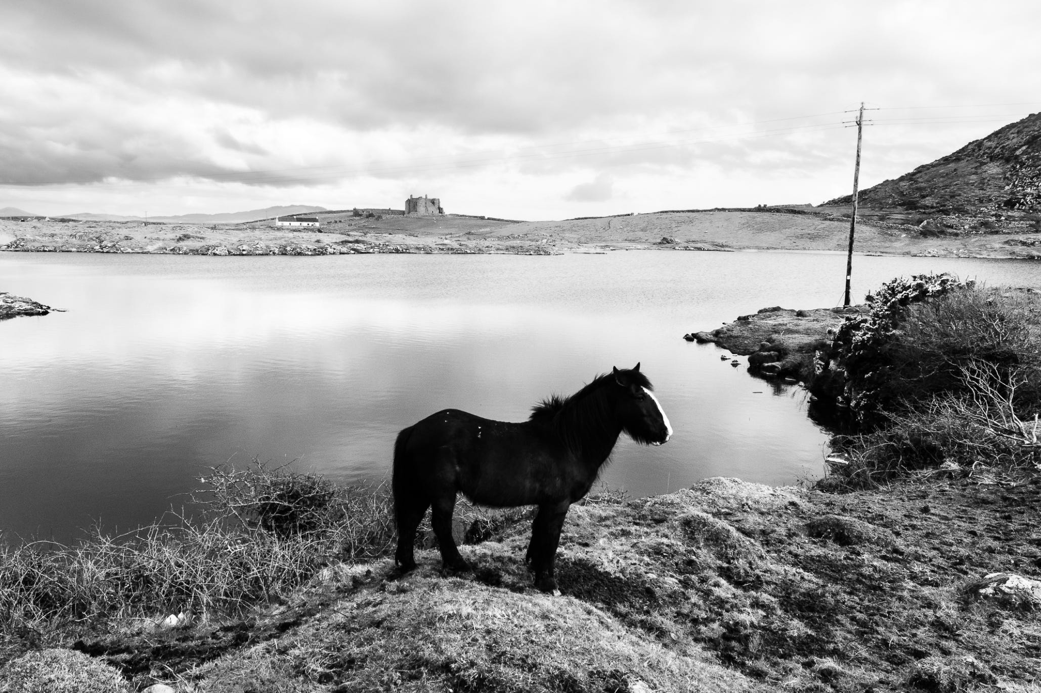 oretail photography, olivier retail, paysage, landscape, noir et blanc, black and white, cheval, connemara, horse, Ireland, Irlande, lac, lake, pole, poteau, château, castle, connemara