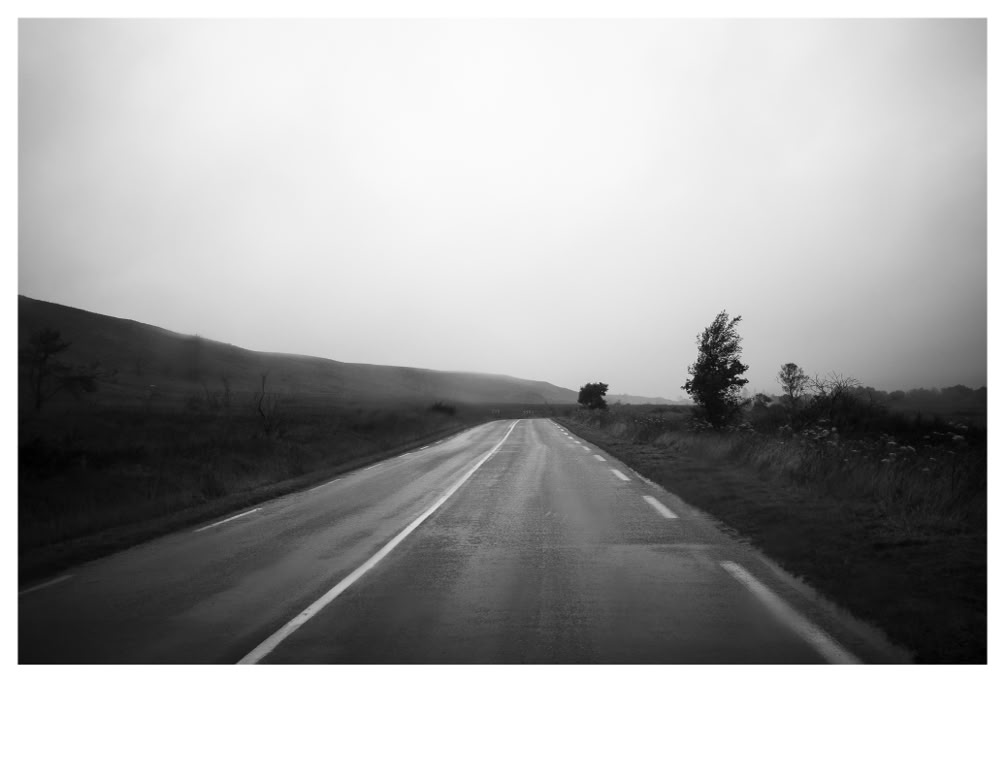 paysage, oretail photography,  olivier retail, noir et blanc, black and white, landscape, monochrom, monochrome, bw, champ, field, route, road, arbre, tree