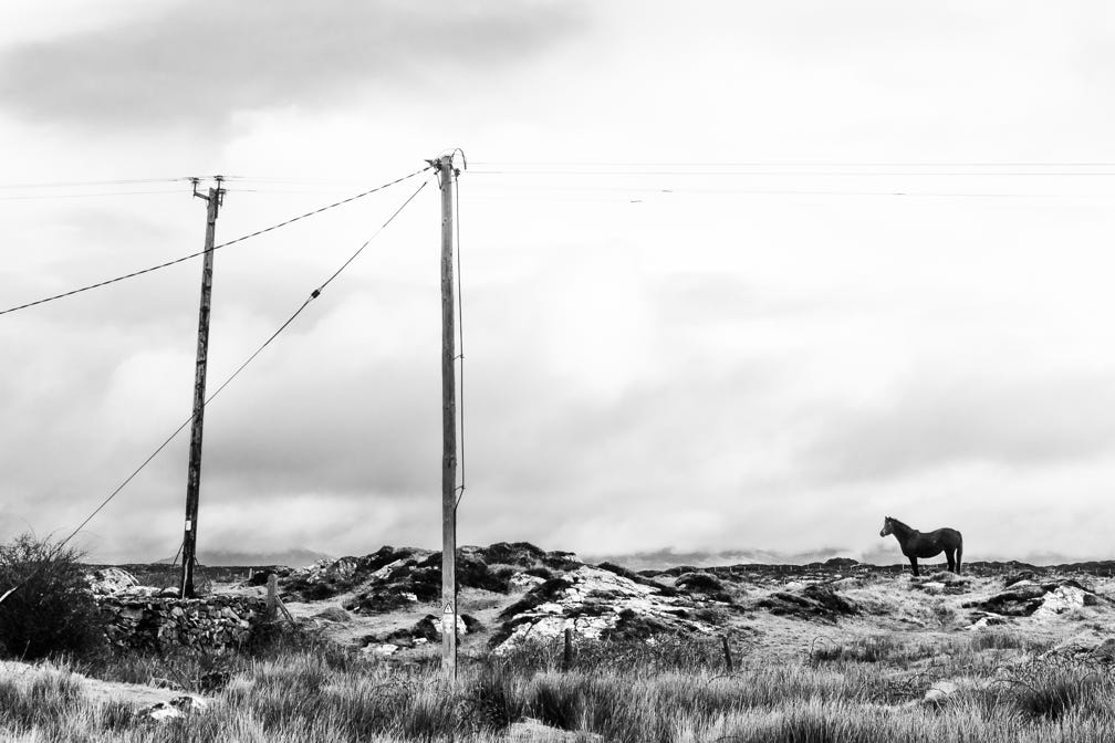 oretail photography, olivier retail, paysage, landscape, noir et blanc, black and white, cheval, connemara, horse, Ireland, Irlande, lande, moor, pole, poteau, connemara