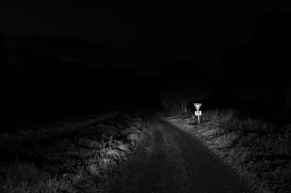 nature, oretail photography, olivier retail, noir et blanc, black and white, crépuscule, twilight, chemin, track, campagne, arbre, tree, stop