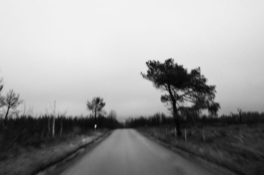 nature, oretail photography, olivier retail, noir et blanc, black and white, arbre, tree, nuage, cloud, champ, field